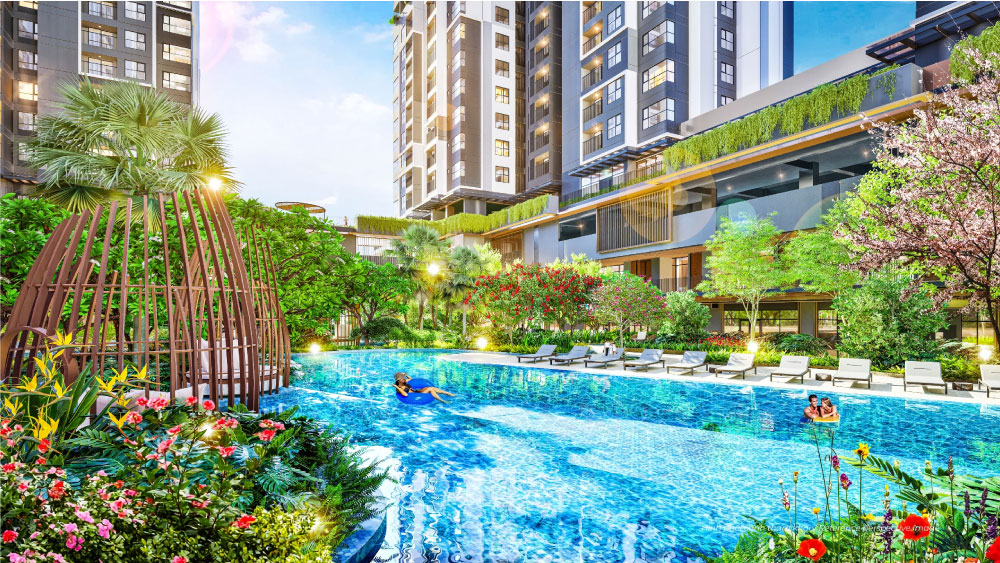 Hồ bơi 25m trong tiện ích Harmonie tại Phú Mỹ Hưng